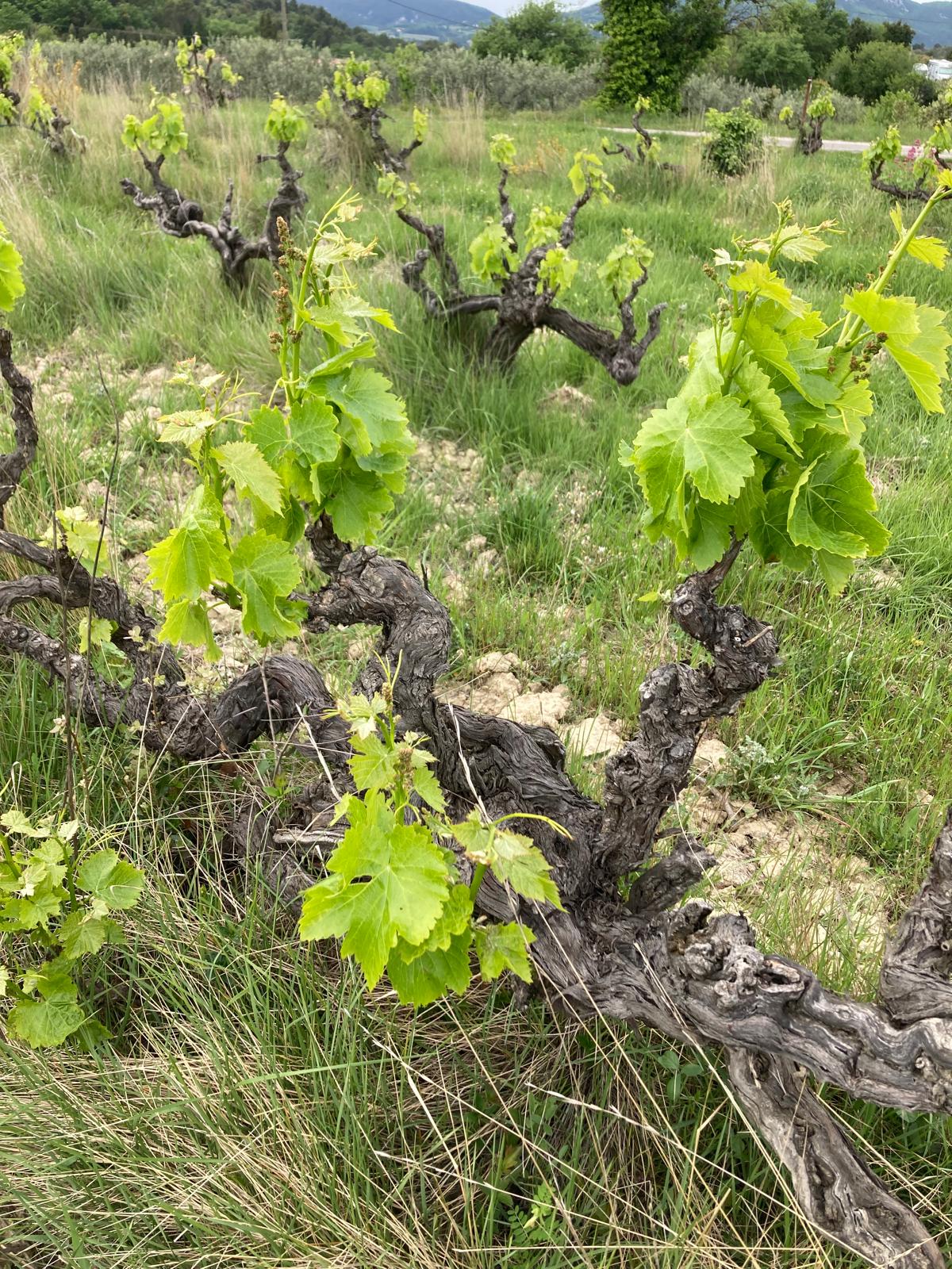 Illustration de l’actualité